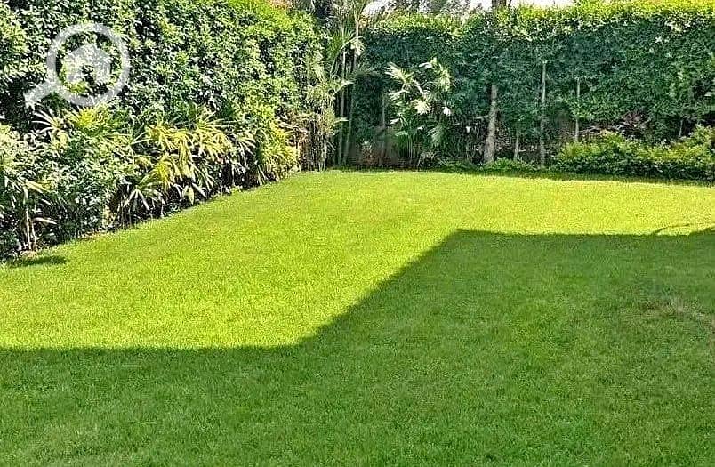 4 IMG-20251015-WA0362. jpg