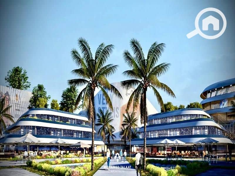 4 WhatsApp Image 2024-02-06 at 11.47. 43 AM. jpeg