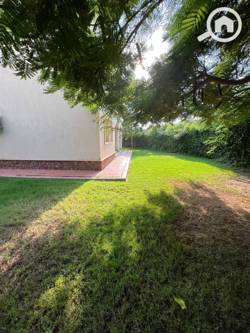 19 b53a8542-3ebb-471a-8002-b9da92c6466b. jpg