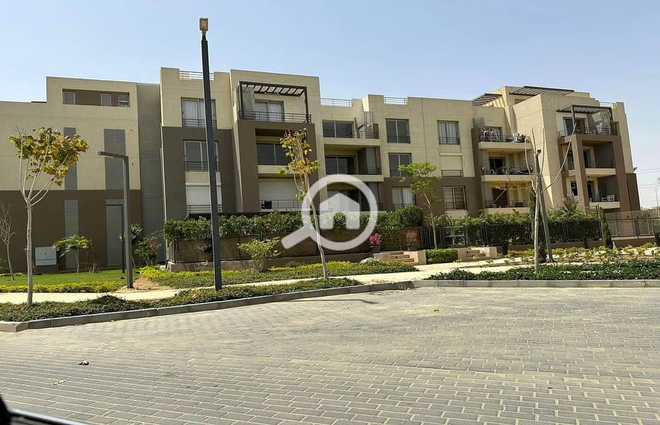 3 446716218_10229742704527708_2096286492037913644_n. jpg