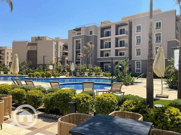 8 WhatsApp Image 2024-09-11 at 14.03. 21_f573998f. jpg