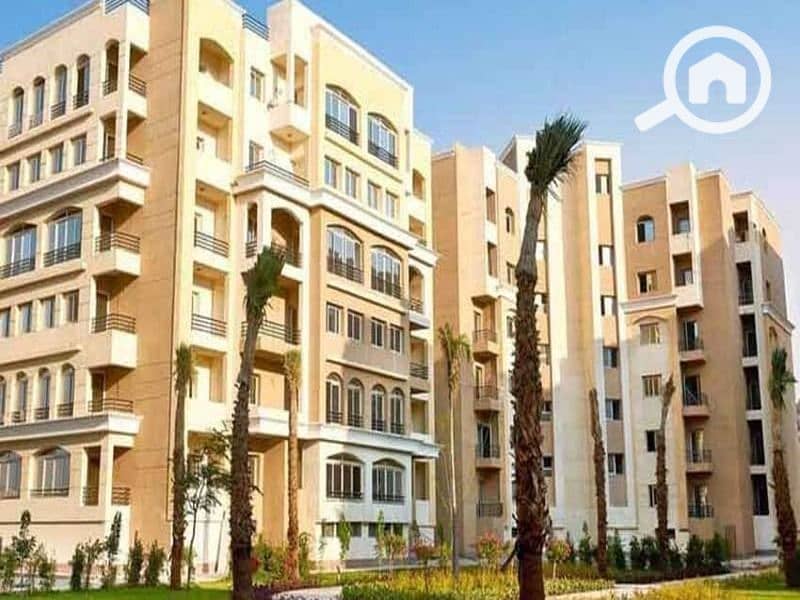 8 WhatsApp Image 2024-08-12 at 11.22. 39 AM (2). jpeg