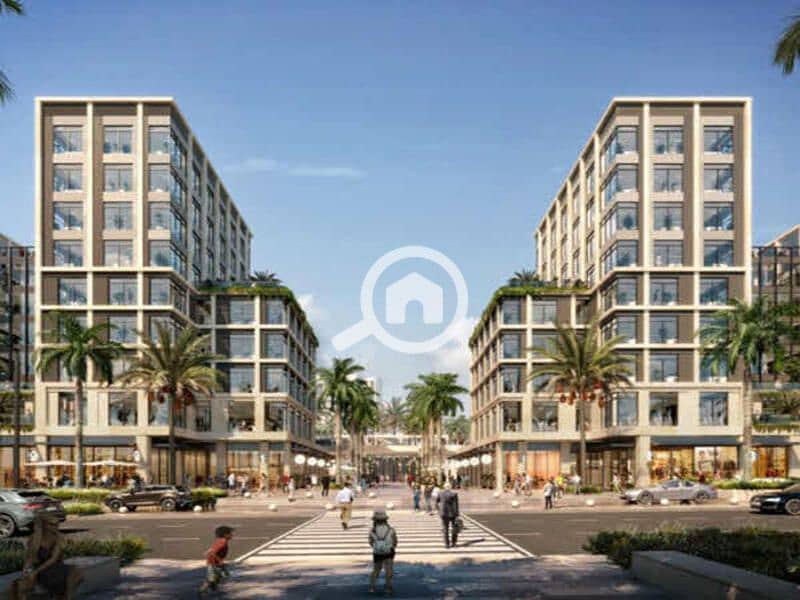 زيد5. jpg زيد5. jpg