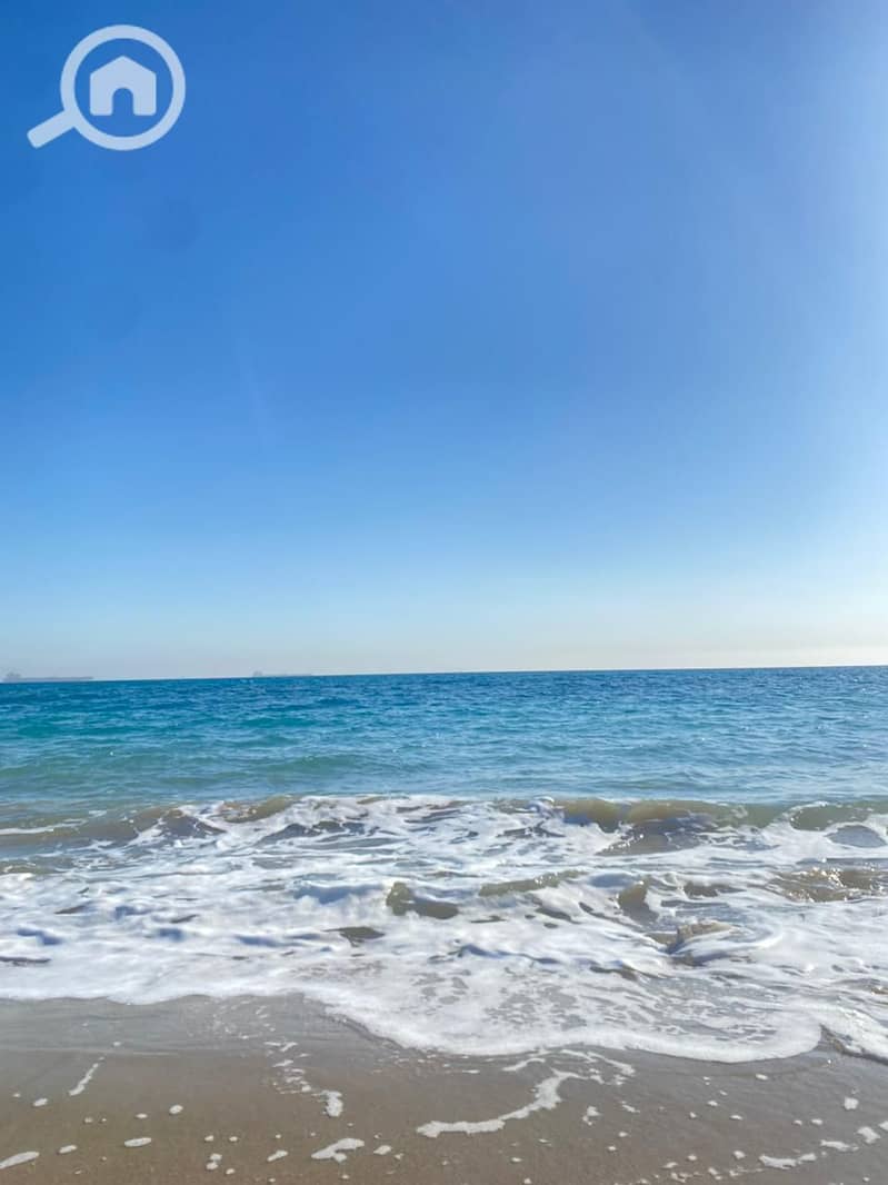 8 83db4b3a-b31b-445d-b5b1-9dd52e7e7553. jpg