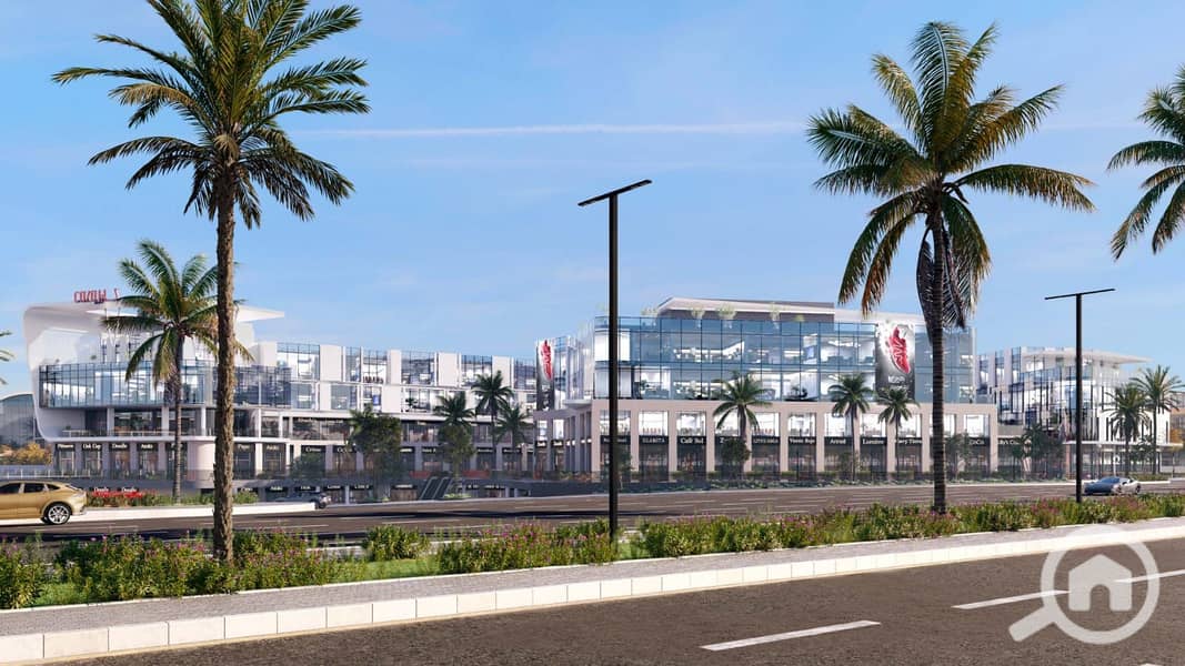 8 cccd281c-d1bd-4668-aae1-24bcc5c4d74d. jpg