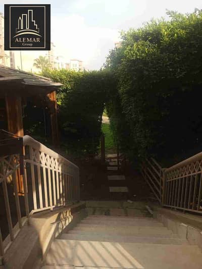 2 Bedroom Apartment for Rent in Madinaty, Cairo - 1000691765. jpg