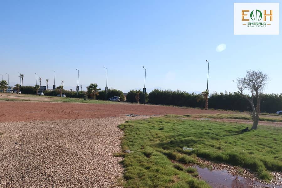 6 IMG_0231 - Copy. jpg