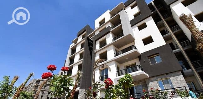 6 15336434921538752009. jpg