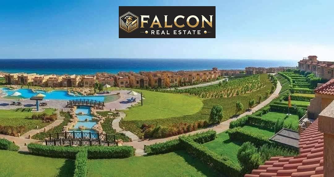 15 e7e82a60-fb4c-4955-aac1-8340eb2b771a. jpg