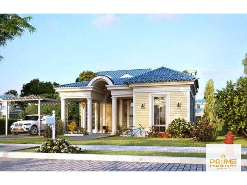 12 WhatsApp Image 2025-03-11 at 13.42. 27. jpeg