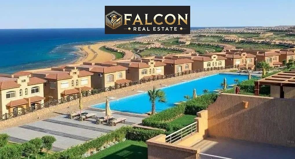 3 17d33e41-d675-47d6-ae98-b8500cc85c8a. jpg