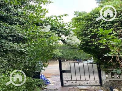 فیلا 3 غرف نوم للبيع في القاهرة الجديدة، القاهرة - fY43ea2RMITGaHFKTjJwKwE9opf3dDbAT7np2H0p. jpg فیلا 3 غرف نوم للبيع في القاهرة الجديدة، القاهرة - fY43ea2RMITGaHFKTjJwKwE9opf3dDbAT7np2H0p. jpg