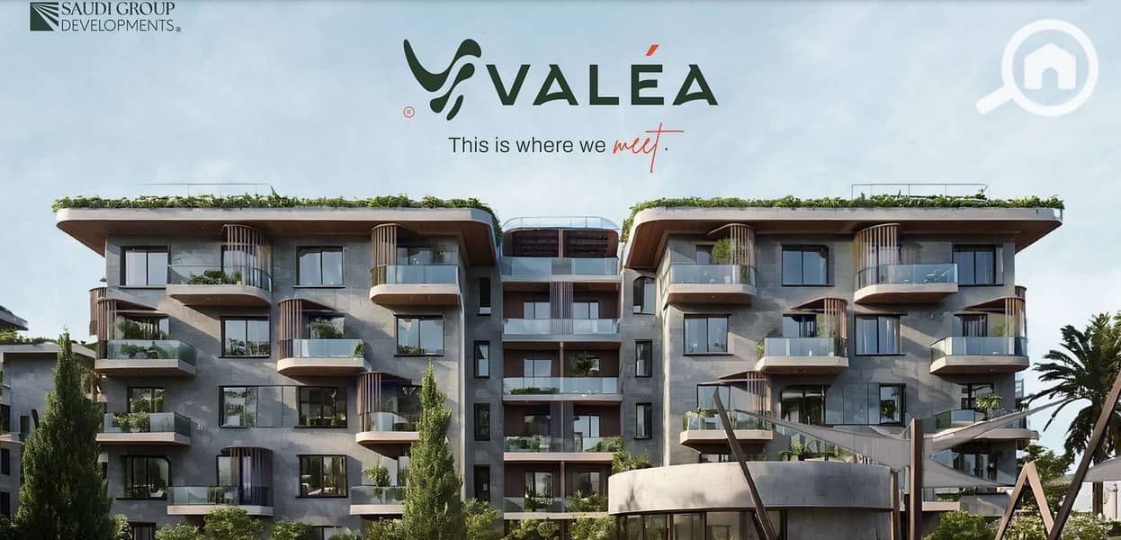 8 e28b7c0c-d7b0-46b4-a0fd-9c199f5f2a8b. jpg