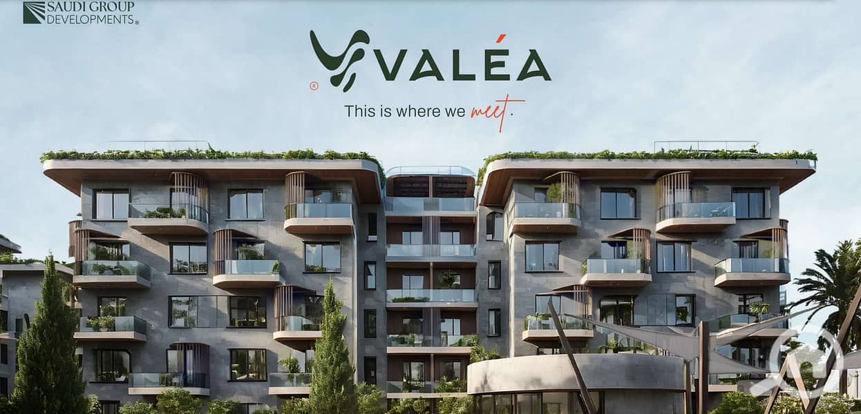 8 e28b7c0c-d7b0-46b4-a0fd-9c199f5f2a8b. jpg