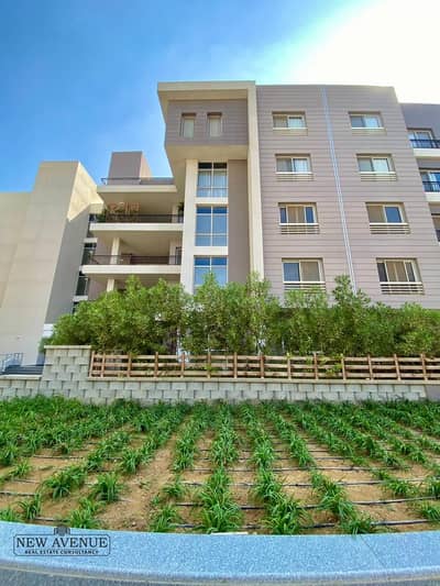 3 Bedroom Flat for Sale in New Cairo, Cairo - WhatsApp Image 2025-11-16 at 12.13. 13 PM. jpeg 3 Bedroom Flat for Sale in New Cairo, Cairo - WhatsApp Image 2025-11-16 at 12.13. 13 PM. jpeg