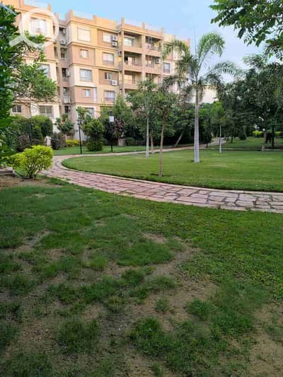 2 Bedroom Flat for Rent in Madinaty, Cairo - 1000324564. jpg