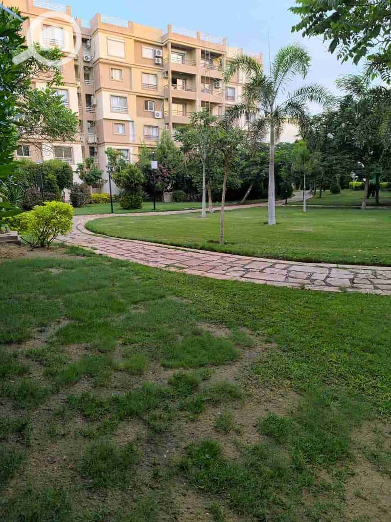 1000324564. jpg 1000324564. jpg