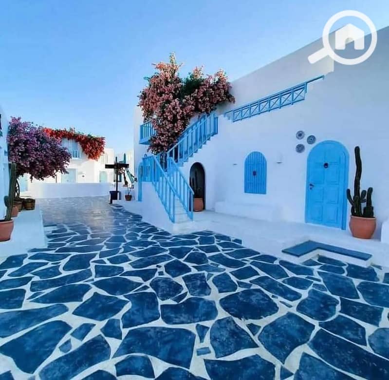 2 6db14648-cfe4-4867-af0f-938f0c61668a. jpeg