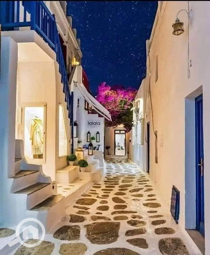 3 2504a9b0-5c62-4cdd-96c1-6e8c6dddddc7. jpeg