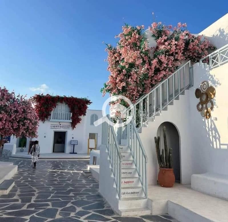 4 366574d5-9f64-4453-9e3e-ea81876dd463 (1). jpeg