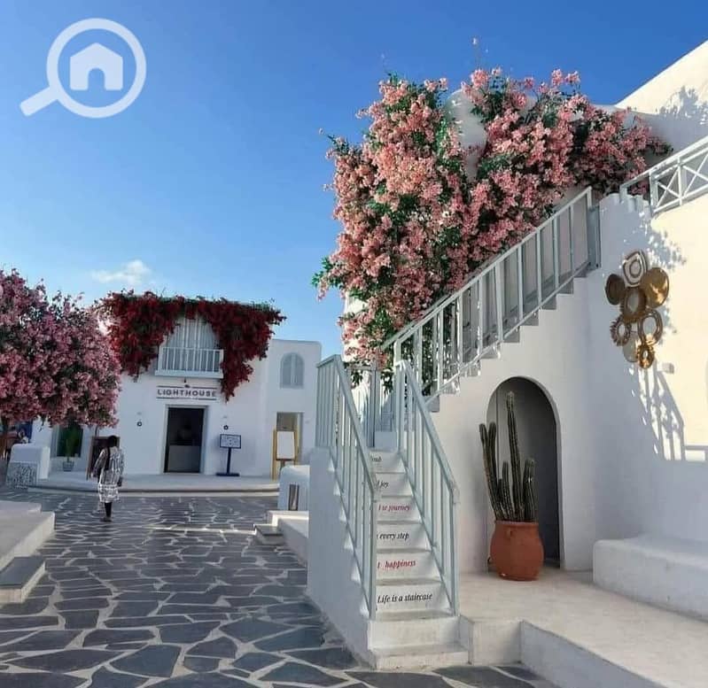 5 366574d5-9f64-4453-9e3e-ea81876dd463. jpeg