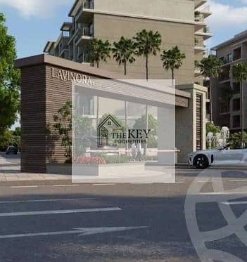 Screenshot 2025-11-16 041506. png Screenshot 2025-11-16 041506. png