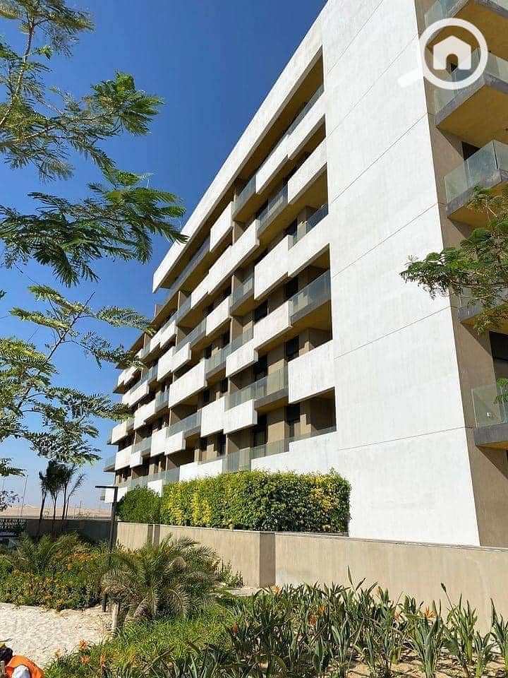 6 459402541_122169142952174893_3818125301165461329_n. jpg