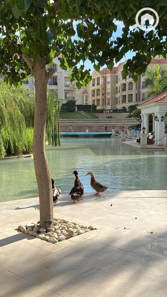 7 WhatsApp Image 2025-09-29 at 1.14. 31 PM (1). jpeg