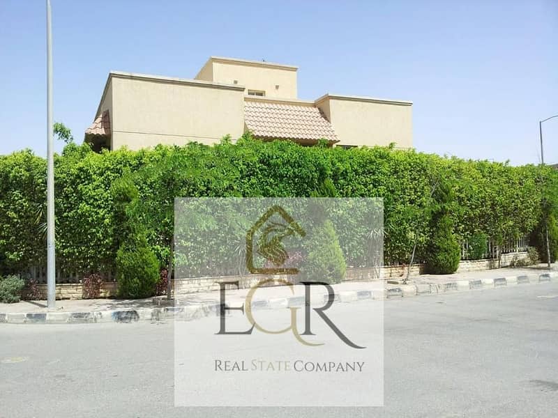 6 579306950_852797160673372_7460083864396774592_n. jpg