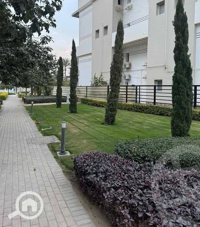 2 hyde park greens9. jpeg