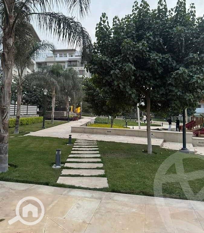 7 hyde park greens15. jpeg