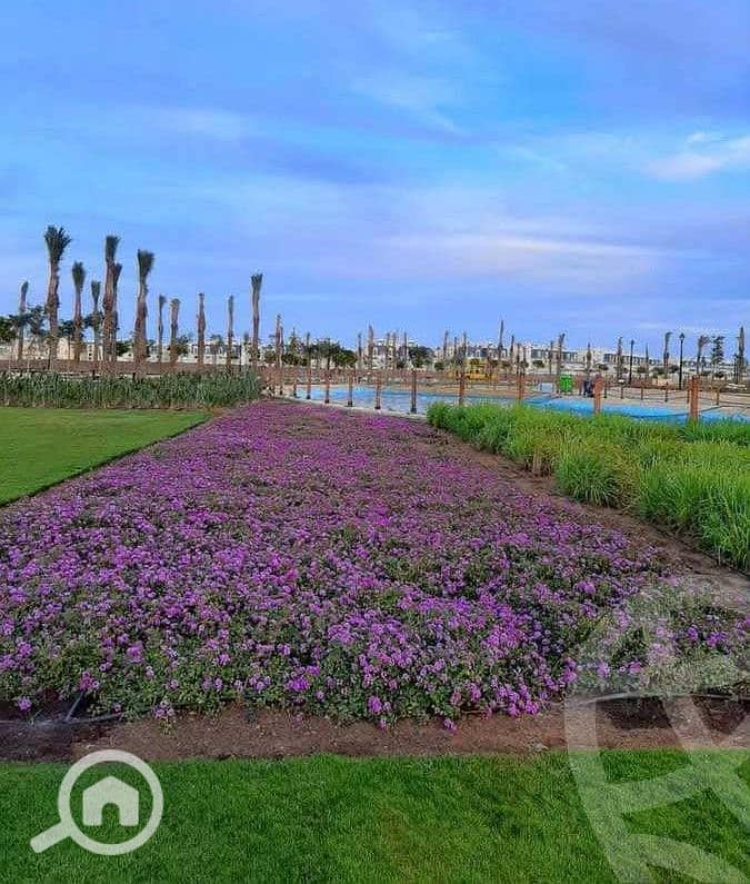 12 hyde park greens20. jpeg