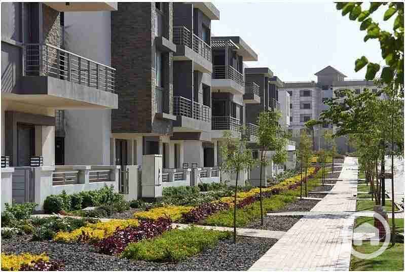 13 IMG-20250927-WA0002. jpg