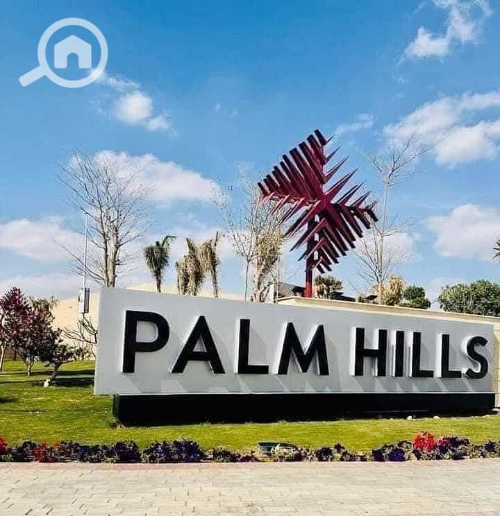 9 photo_2025-01-20_20-57-29. jpg