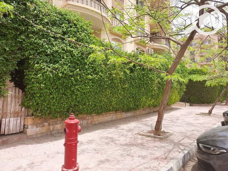 2 63db9bc7-31db-4cc7-b3bd-43c30a1353d1. jpg