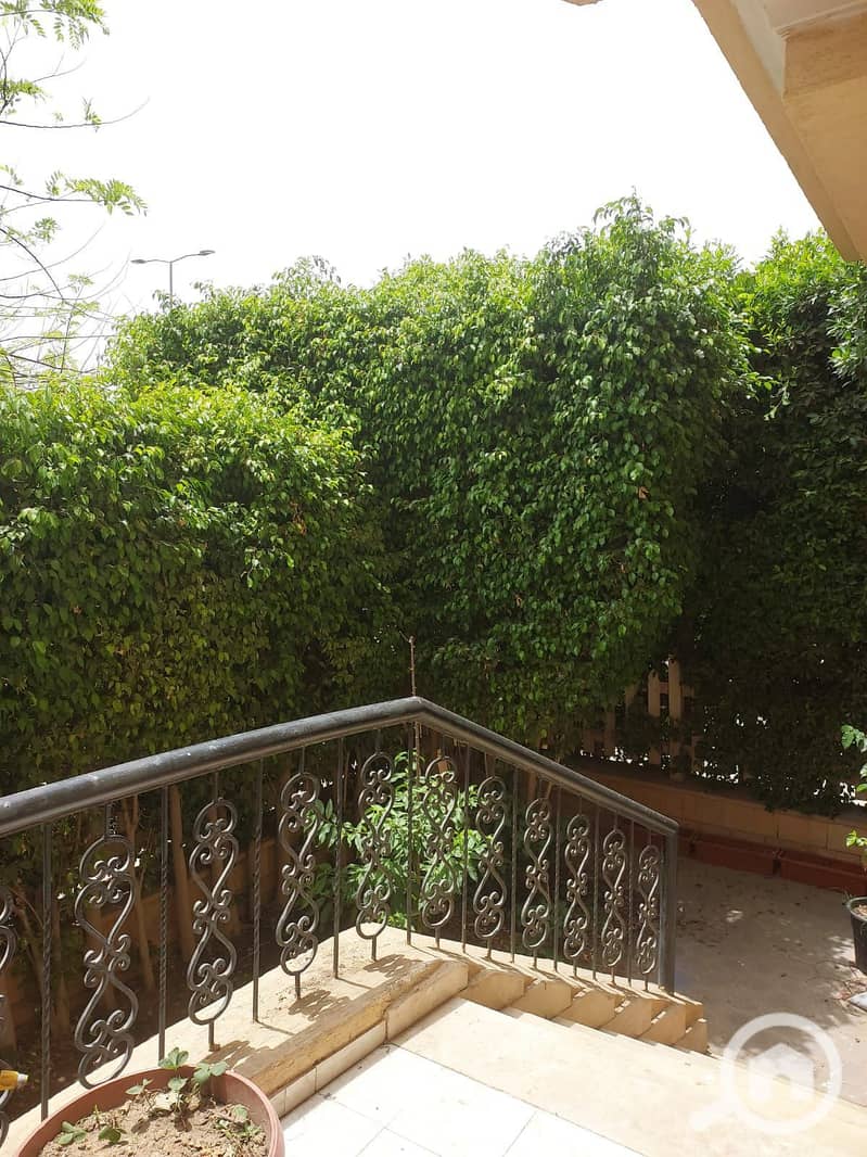 5 cdce4007-f697-4ec5-809a-6cd4d234c324. jpg