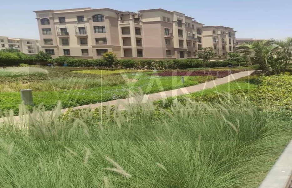 5 WhatsApp Image 2024-08-07 at 11.58. 33 AM (2) - Copy. jpeg