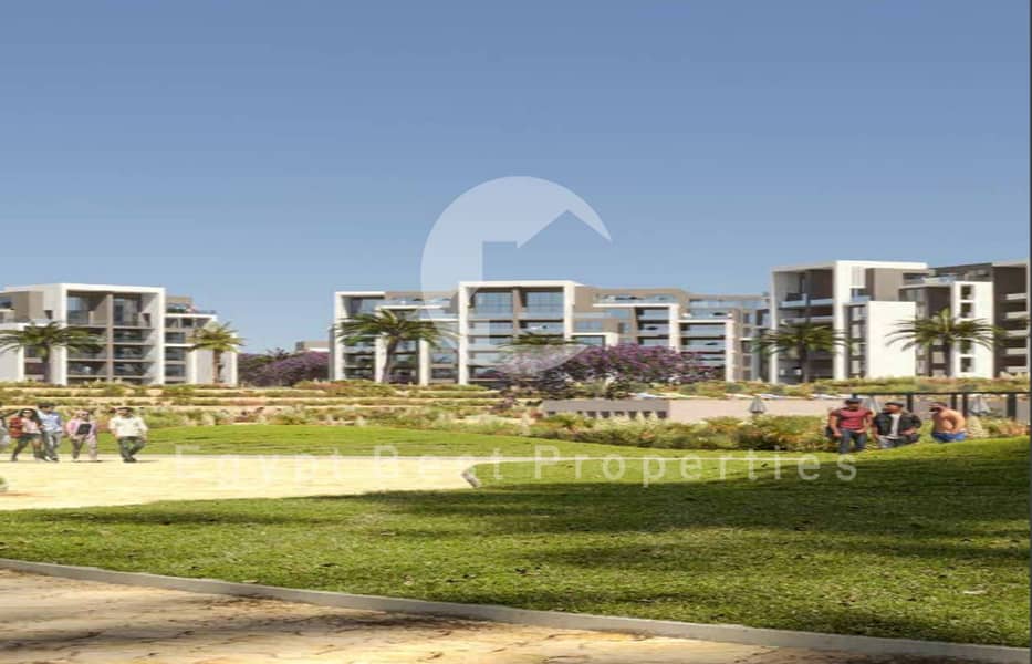 11 zed east picc. png