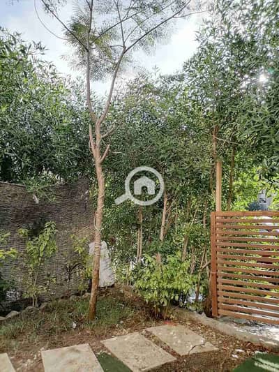 فلیٹ 2 غرفة نوم للايجار في الشيخ زايد، الجيزة - 1000345327. jpg