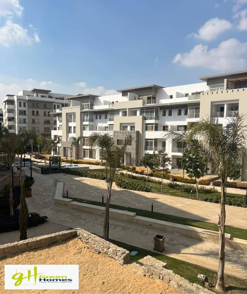 4 FB_IMG_1687343275505. jpg