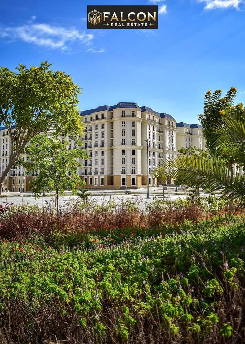 6 WhatsApp Image 2025-10-14 at 4.48. 43 PM (2). jpeg