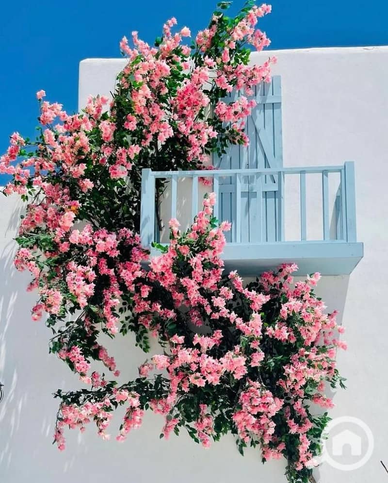 5 WhatsApp Image 2025-11-16 at 2.59. 31 PM (1). jpeg