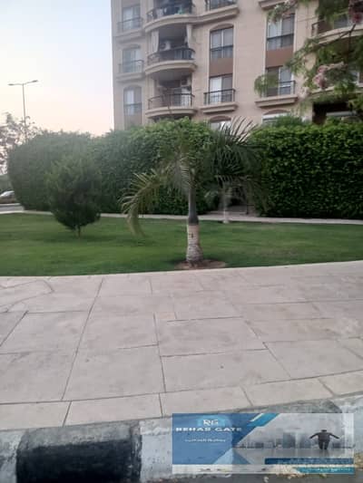 3 Bedroom Apartment for Rent in New Cairo, Cairo - WhatsApp Image 2025-11-16 at 1.59. 45 PM. jpeg