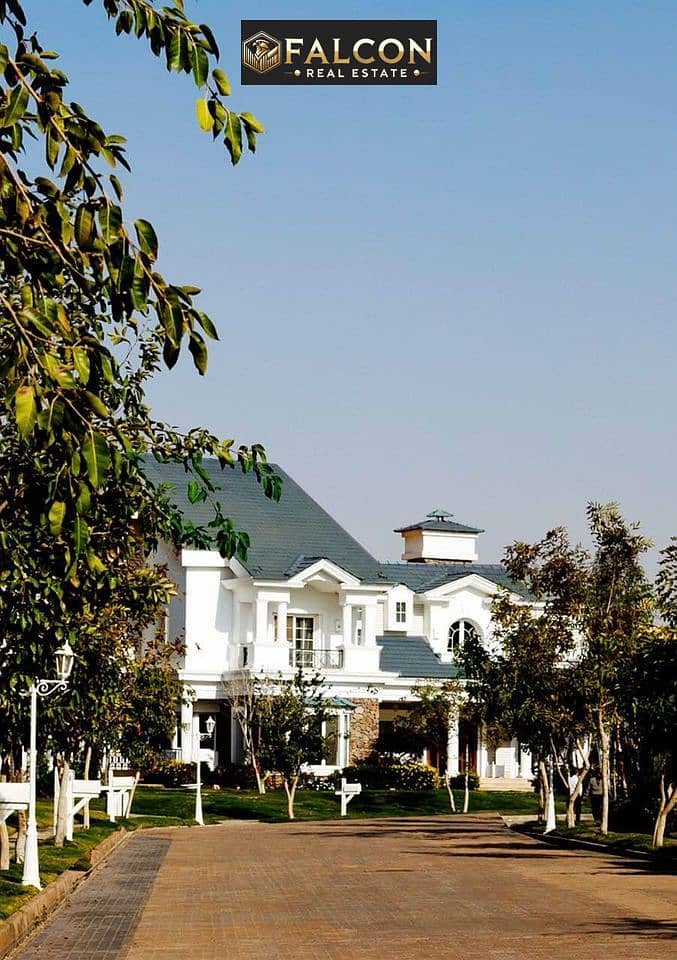 10 436516557_1000881578304399_5995684565896856018_n. jpg