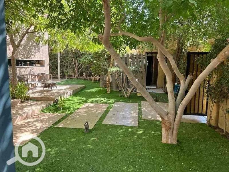 10 f99e72a5-43e3-4590-8434-dffbeb6f7f59. jpg