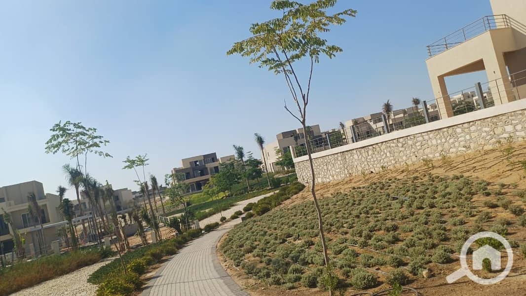 17 WhatsApp Image 2025-07-05 at 05.40. 06_1c79b60f. jpg