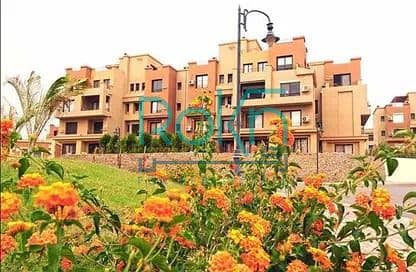 11 WhatsApp Image 2025-10-27 at 2.35. 46 PM. jpeg