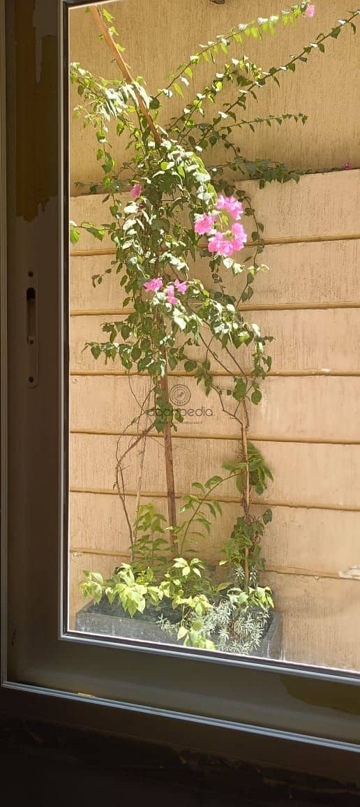 4 WhatsApp Image 2025-09-07 at 12.26. 12 PM (4). jpeg