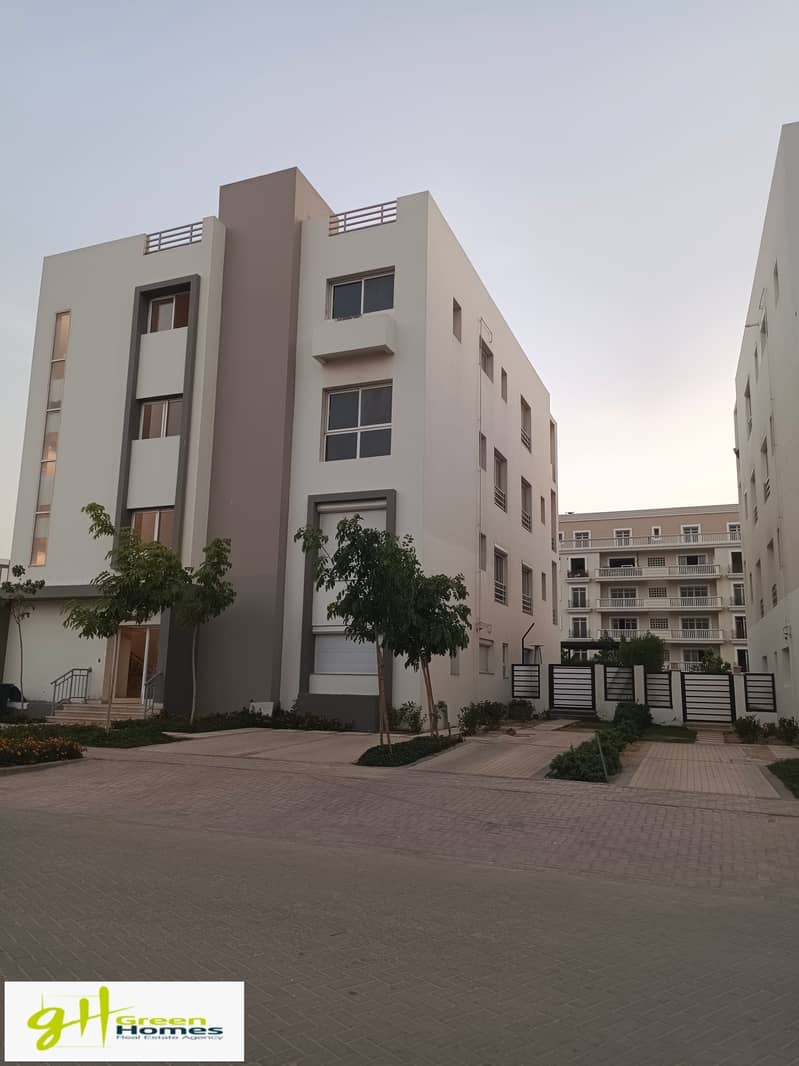 3 IMG_20230727_194451. jpg