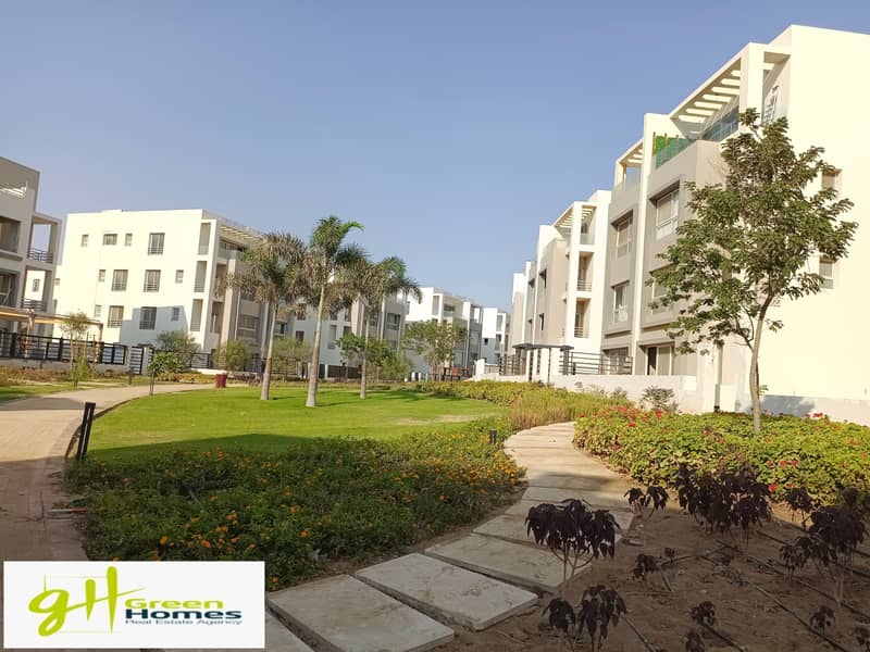 6 IMG_20230815_171144. jpg